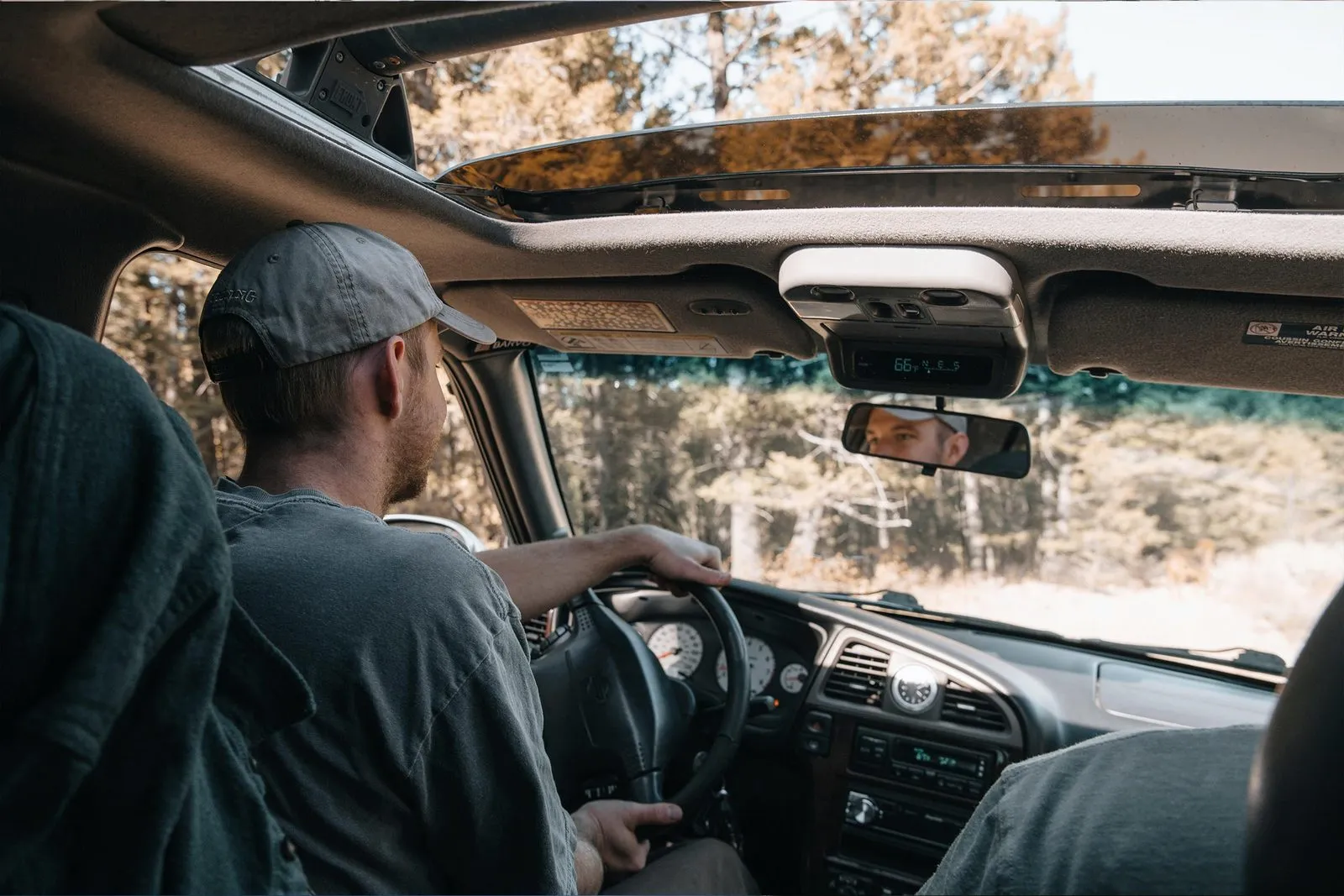 A driver at the wheel on a tree-lined road